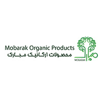 راسخین