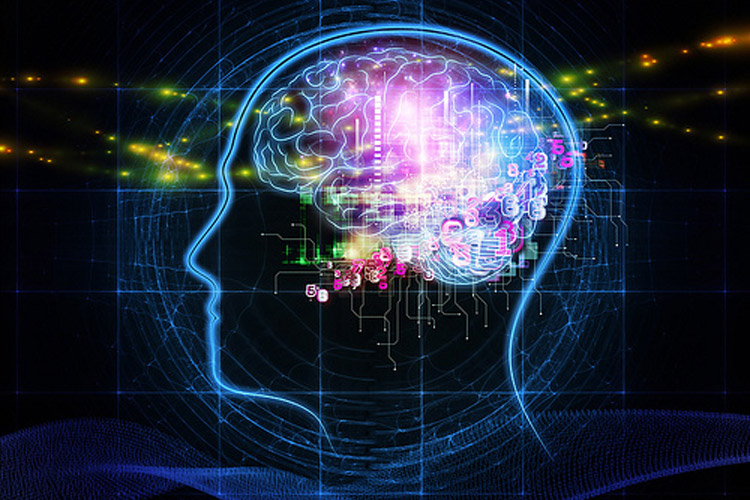 ظرفیت حافظه مغز انسان ۱۰ برابر بیشتر از چیزی است که دانشمندان تصور می‌کردند