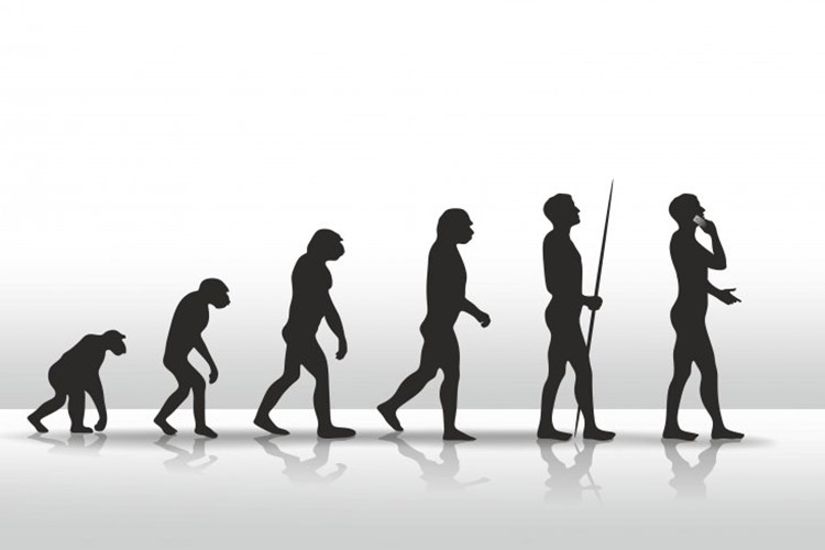 تکامل انسان با سرعت بیشتری ادامه می یابد