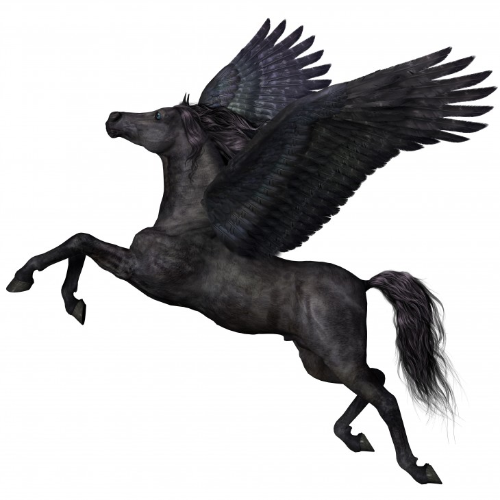 Pegasus-730x730